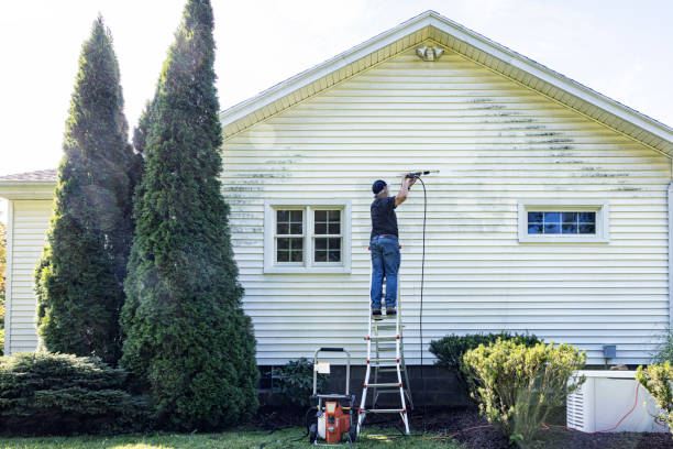 Best Building Exterior Washing  in South Park, WY